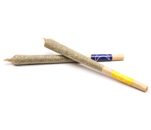 Pre-Rolled Joints for sale in Georgia